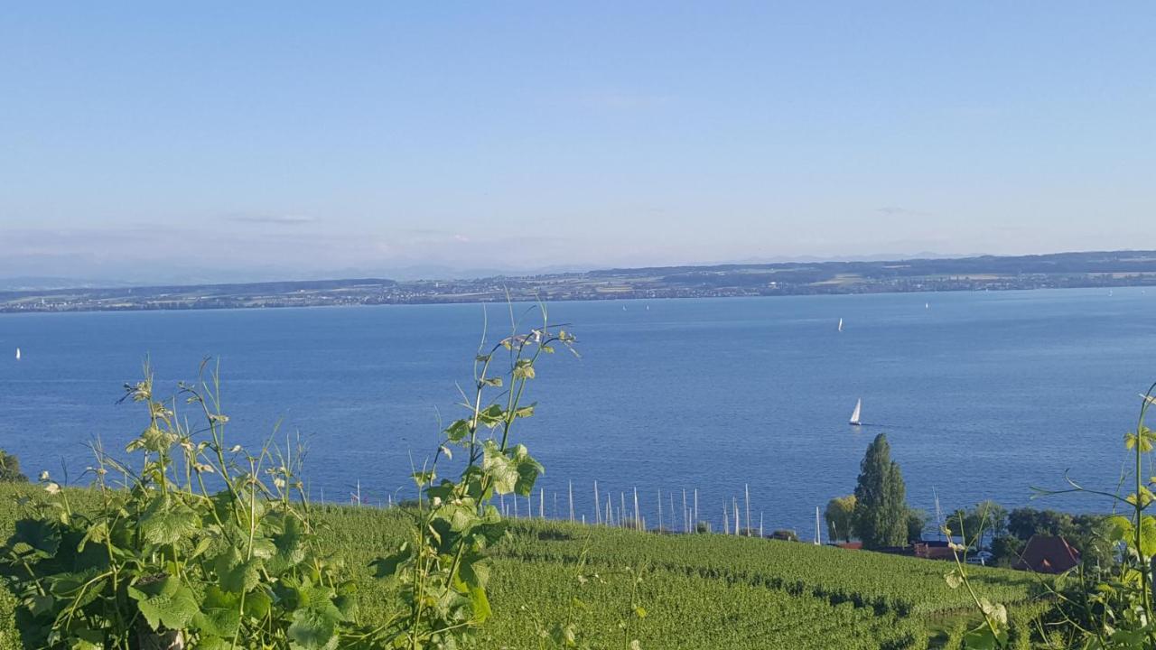 Studio Bodensee Daisendorf Exteriör bild